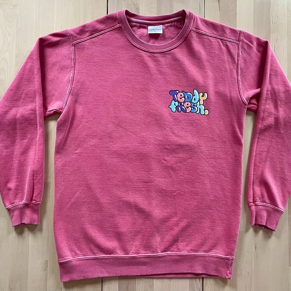 Teddy Fresh Women's Pink Long Sleeve Sweatshirt with Bubble Text Logo size Small